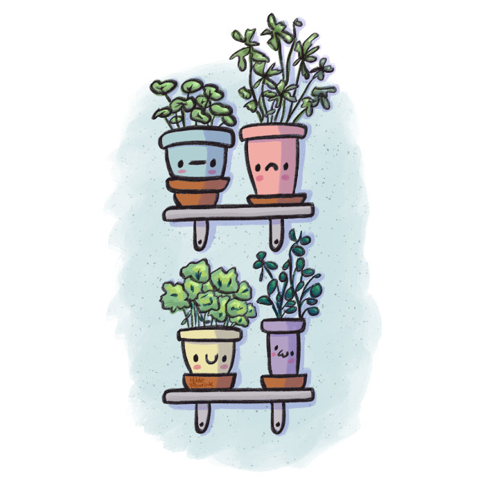 illustratie van 4 plantjes in kawaii stijl | © Hilde Reurink