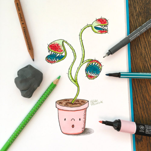 foto van getekende plant uit schetsboek illustrator Hilde Reurink | © Hilde Reurink